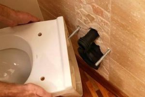 Демонтаж унітазу в Стрию